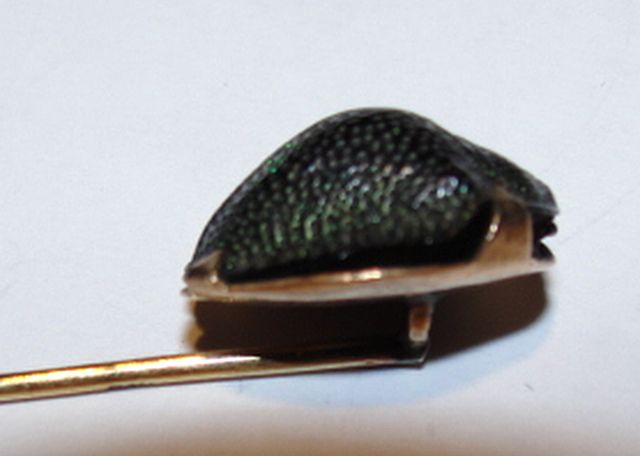 Egyptian Revival 14 kt Gold Mid-Victorian Scarab Beetle Stick Pin Egyptian Revival 14 kt Gold Mid-Victorian Scarab Beetle Stick Pin