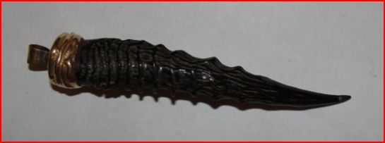 African Antelope Dik Dik Horn Pendant African Antelope Dik Dik Horn Pendant