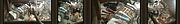 Treasure Trove New York City