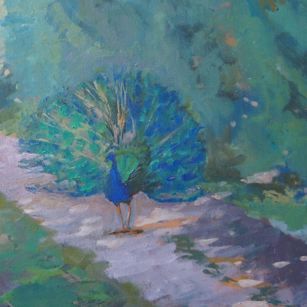 Peacock Painting by Laguna Beach Artist Rachel Uchizono Peacock Painting by Laguna Beach Artist Rachel Uchizono