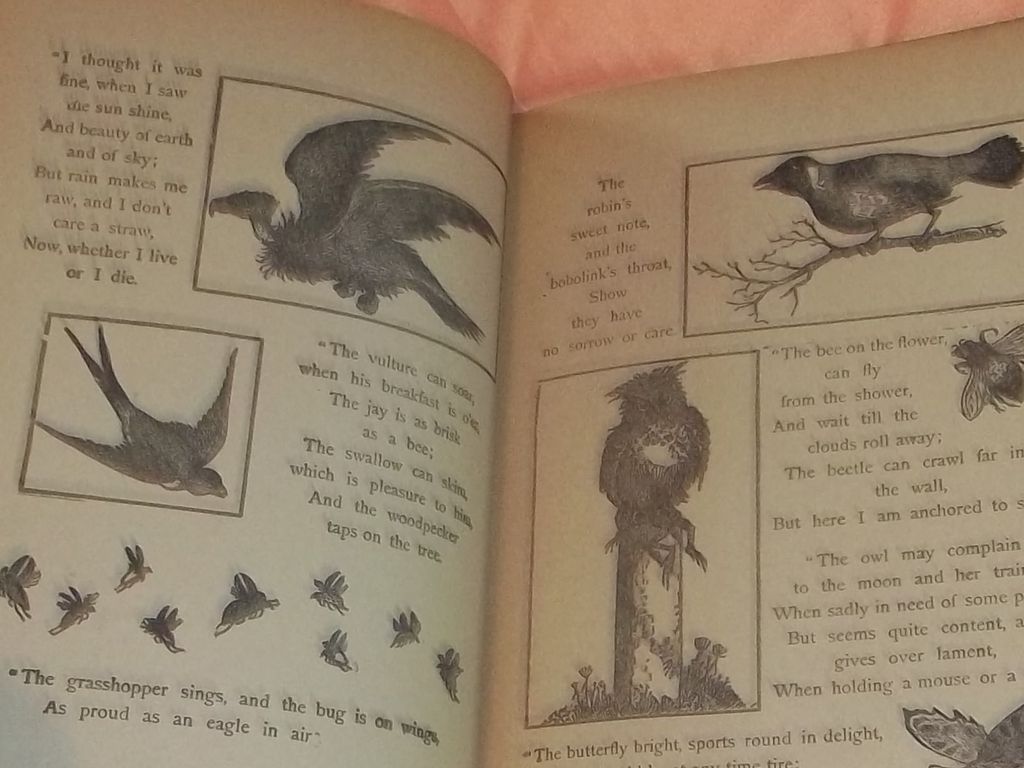1900's Vintage Childrens Book Palmer Cox Funny Animals 1900's Vintage Childrens Book Palmer Cox Funny Animals