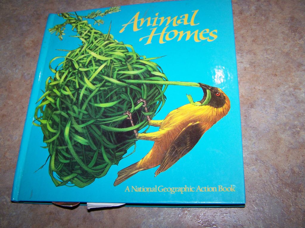 Pop-up Book Titled " Animal Homes " National Geographic C. 1989 Pop-up Book Titled " Animal Homes " National Geographic C. 1989