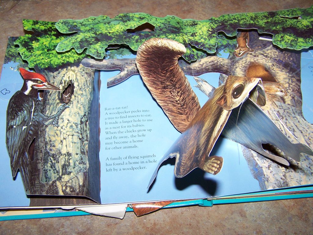 Pop-up Book Titled " Animal Homes " National Geographic C. 1989 Pop-up Book Titled " Animal Homes " National Geographic C. 1989
