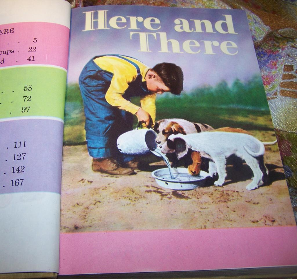 School Reader Up and Away Hard Covered Book School Reader Up and Away Hard Covered Book