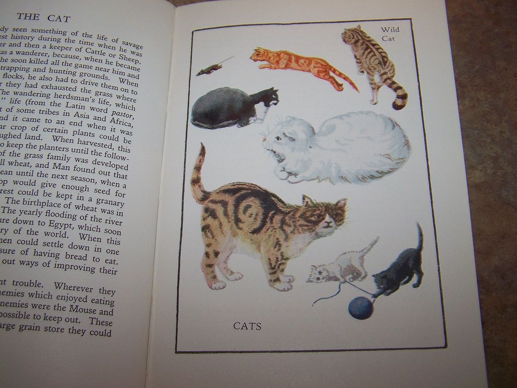H.C. Book " A Book Of Common Beasts " Oxford University Press C.1940 H.C. Book " A Book Of Common Beasts " Oxford University Press C.1940