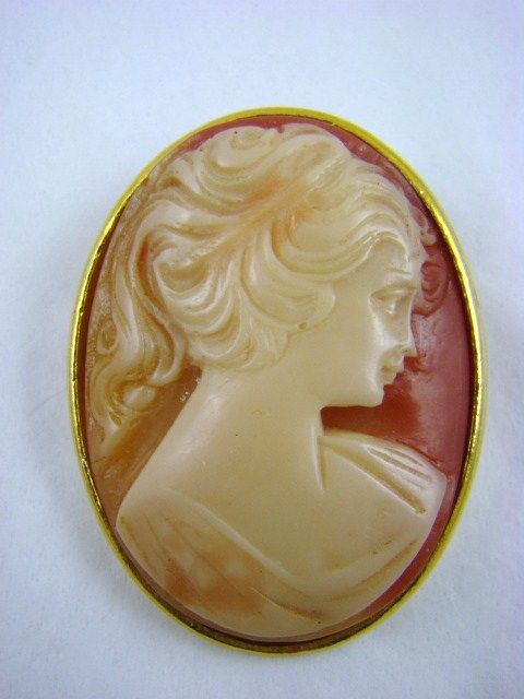 Lucite Cameo Brooch in Coral and Cream Lucite Cameo Brooch in Coral and Cream