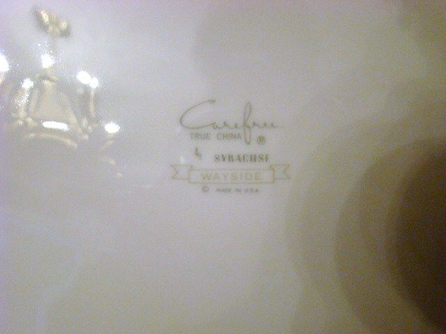 Discontinued 1960s Syracuse Carefree China Platter ~ Wayside ~ Mint Discontinued 1960s Syracuse Carefree China Platter ~ Wayside ~ Mint