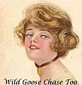 Wild Goose Chase Too Wild Goose Chase Too