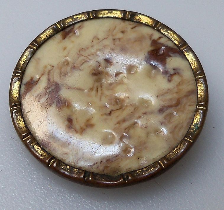 Victorian Celluloid Button with Brass Rim Victorian Celluloid Button with Brass Rim