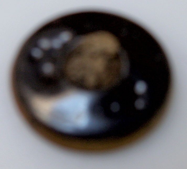Victorian Celluloid Button with Brass Rim Victorian Celluloid Button with Brass Rim