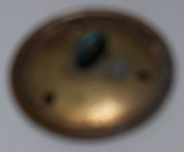 Button Brass Boar's Head Button Brass Boar's Head