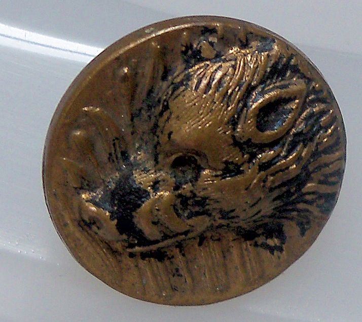 Button Brass Boar's Head Button Brass Boar's Head