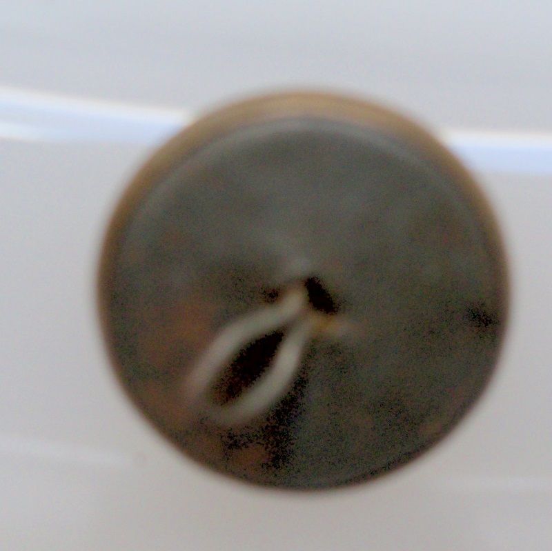 Work Clothes Button "Head Light" Work Clothes Button "Head Light"