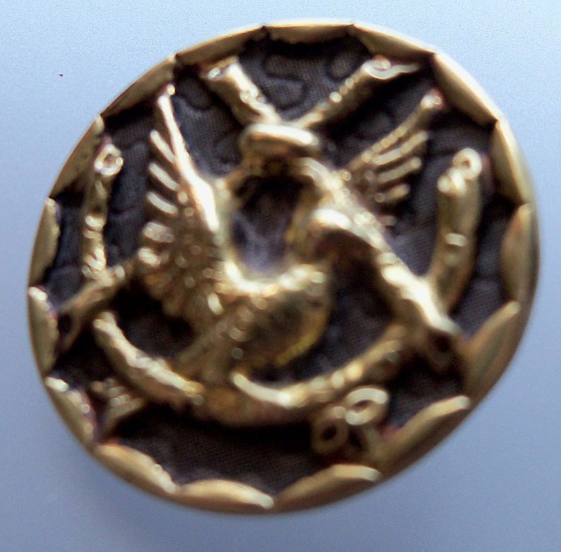 Button "Bird with Outstretched Wings" Button "Bird with Outstretched Wings"