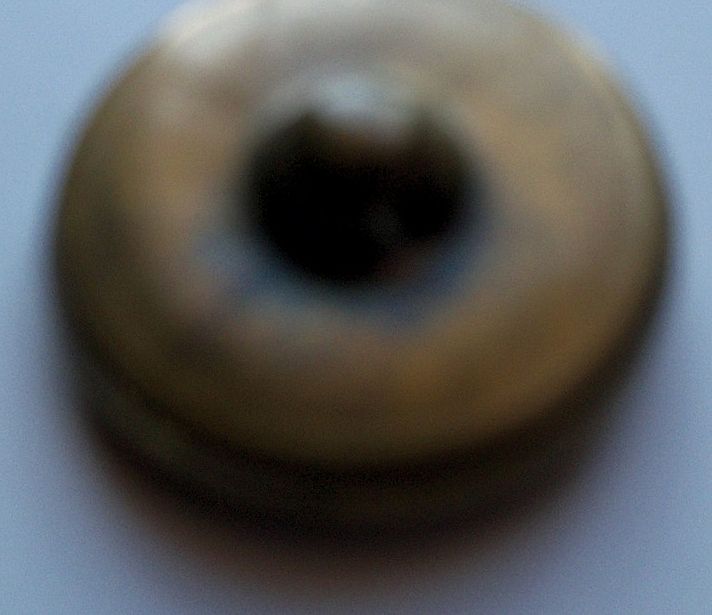 Button "Bird with Outstretched Wings" Button "Bird with Outstretched Wings"