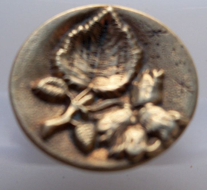 Two Piece Stamped Brass Leaf and Flowers Button Two Piece Stamped Brass Leaf and Flowers Button
