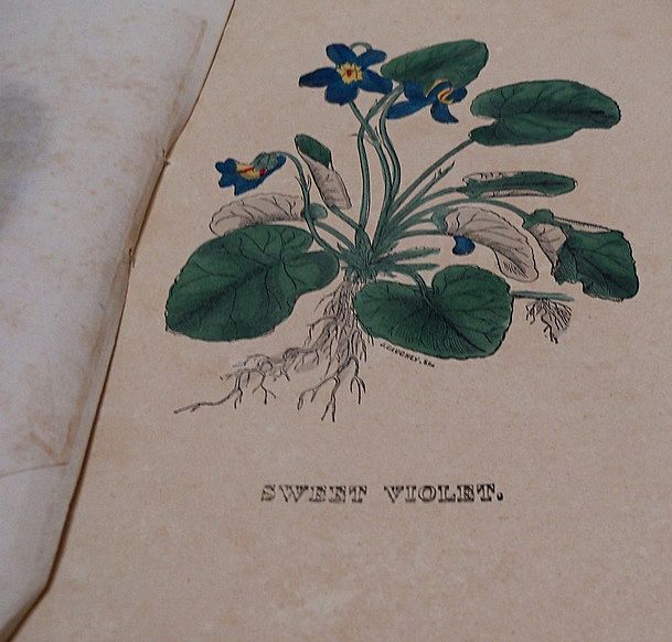 1848 Family Circle and Parlor Annual Magazine 1848 Family Circle and Parlor Annual Magazine