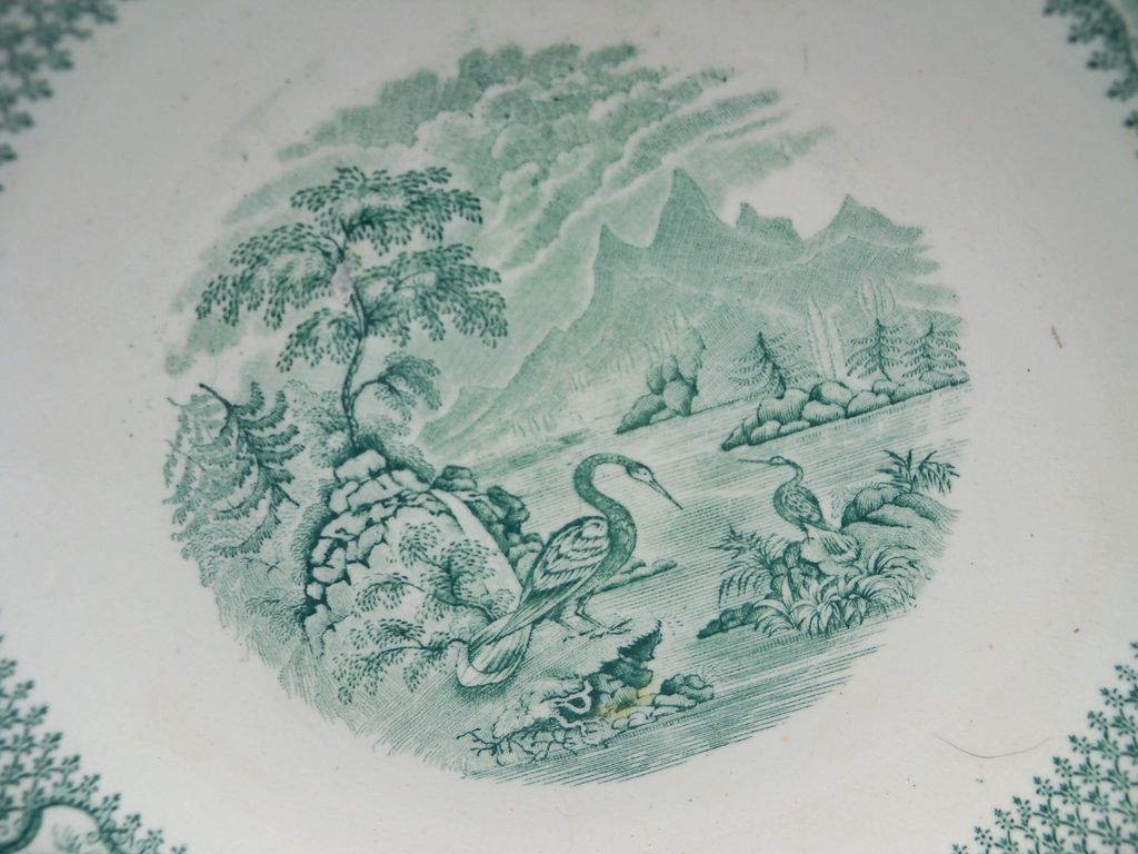 Green Transferware Shallow Bowl "Ornithology" Green Transferware Shallow Bowl "Ornithology"