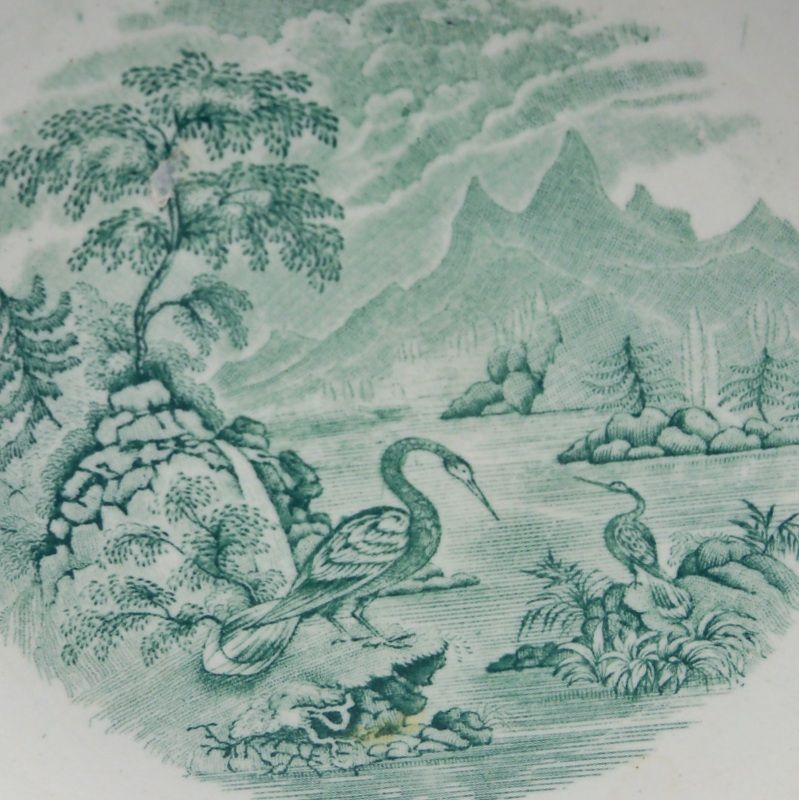 Green Transferware Shallow Bowl "Ornithology" Green Transferware Shallow Bowl "Ornithology"