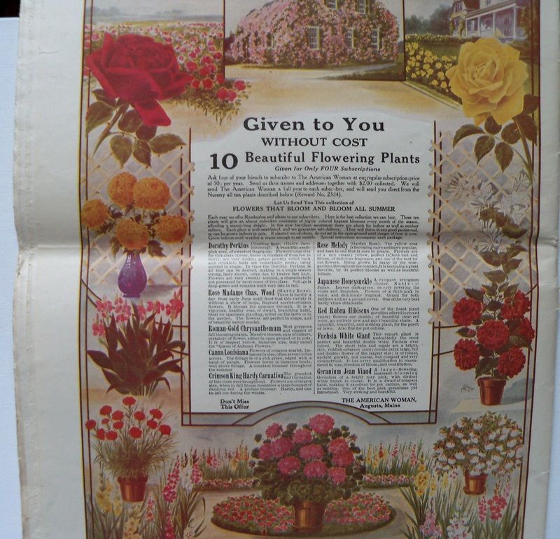 Woman's Magazine "The American Woman" March 1923 Woman's Magazine "The American Woman" March 1923