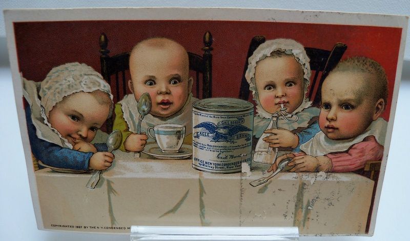 Advertising Trade Card "Borden Milk" Advertising Trade Card "Borden Milk"