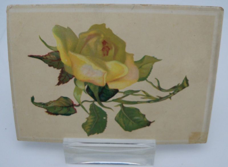 Advertising Giveaway Card Rose Advertising Giveaway Card Rose