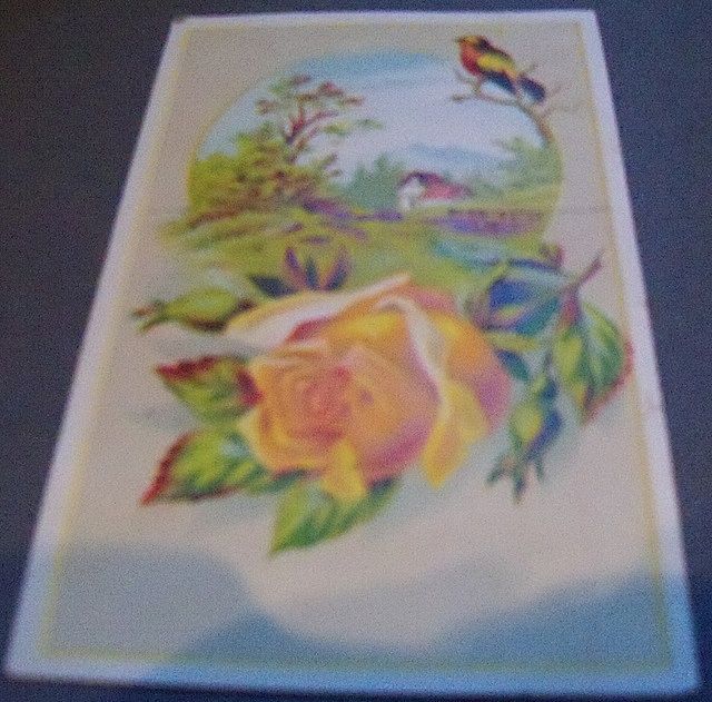 Two Lion Coffee Advertising Trade Cards with Roses Two Lion Coffee Advertising Trade Cards with Roses