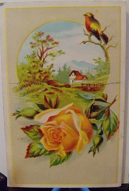 Two Lion Coffee Advertising Trade Cards with Roses Two Lion Coffee Advertising Trade Cards with Roses