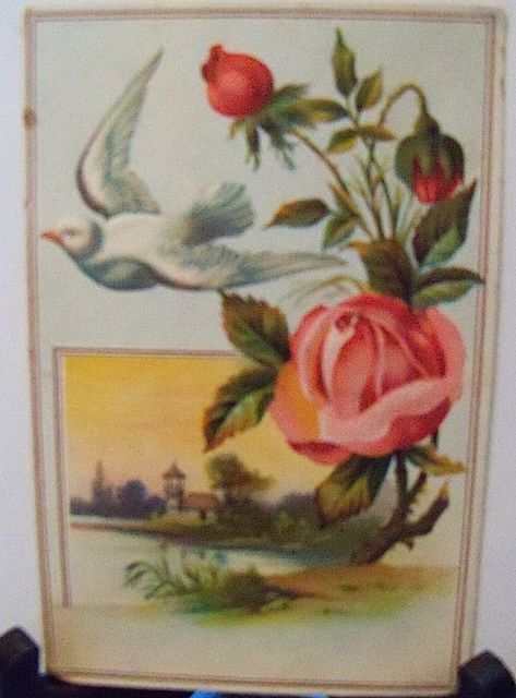 Two Lion Coffee Advertising Trade Cards with Roses Two Lion Coffee Advertising Trade Cards with Roses