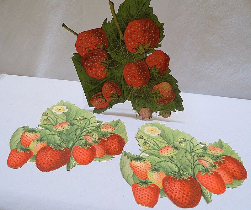Three Victorian Scraps of Luscious Strawberries Three Victorian Scraps of Luscious Strawberries