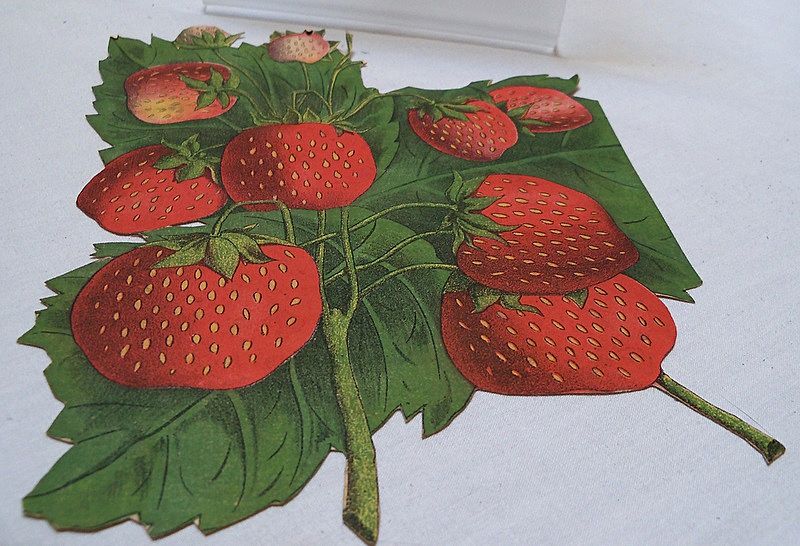 Three Victorian Scraps of Luscious Strawberries Three Victorian Scraps of Luscious Strawberries
