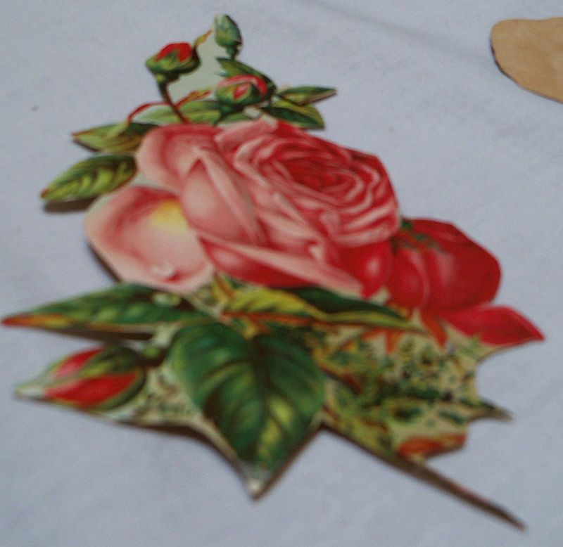 Victorian Scraps A Bevy of Pink Roses Victorian Scraps A Bevy of Pink Roses