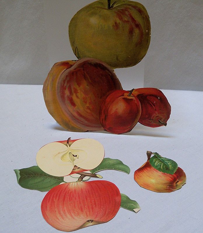 Victorian Scraps Yummy Apples Victorian Scraps Yummy Apples