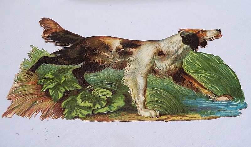 Victorian Scraps of Hunting Dogs Victorian Scraps of Hunting Dogs