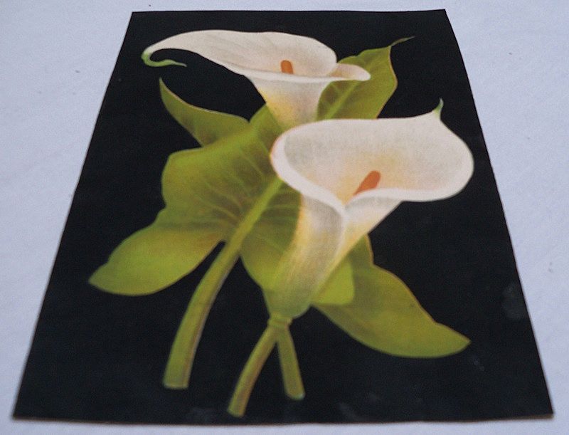 Advertising Trade Card Calla Lillies on Black Advertising Trade Card Calla Lillies on Black
