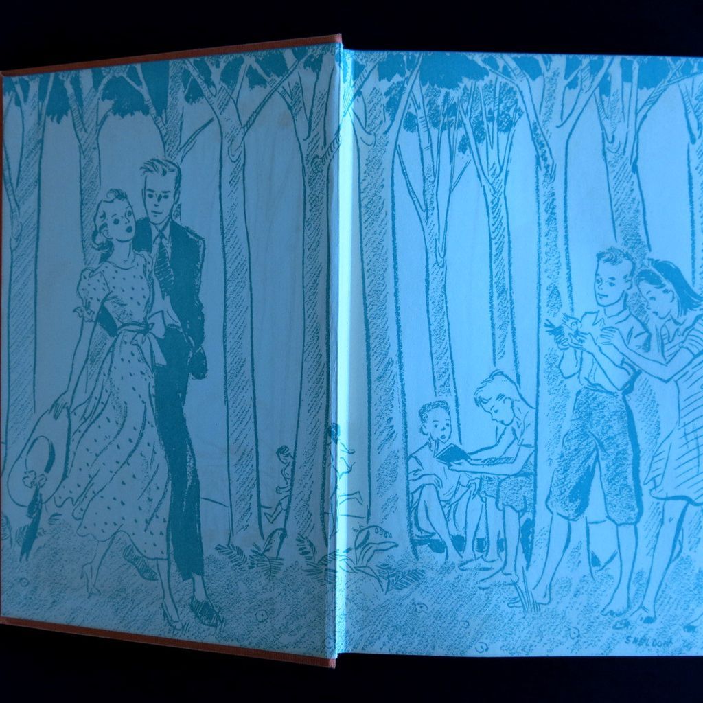 Anne's House of Dreams - 1st edition, 1917, by L. M. Montgomery Anne's House of Dreams - 1st edition, 1917, by L. M. Montgomery
