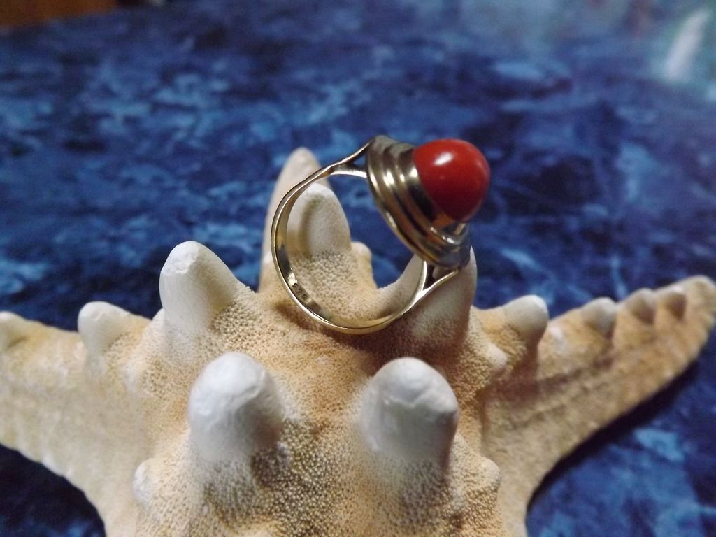 Sardinian Red Coral and 8 Karat Gold Ring Sardinian Red Coral and 8 Karat Gold Ring