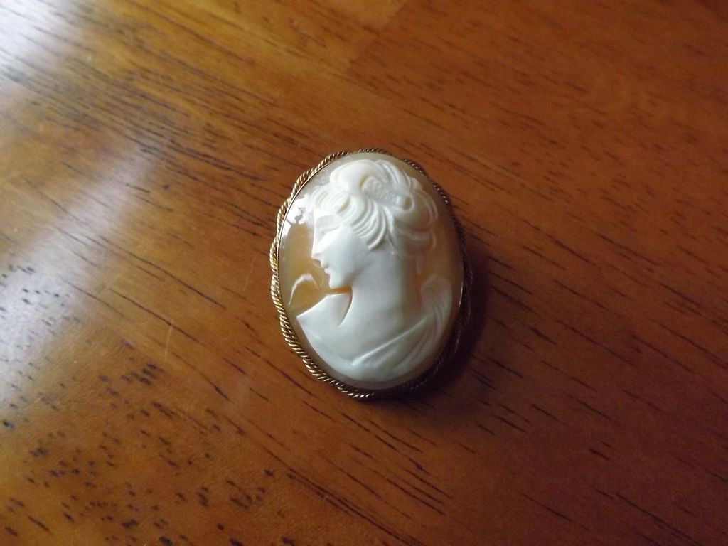 Cameo Pin/Pendant 12 Karat Gold Filled Cameo Pin/Pendant 12 Karat Gold Filled