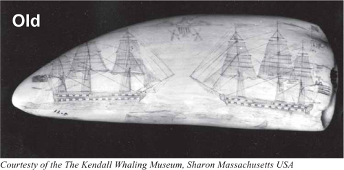 Scrimshaw and other nautical carvings