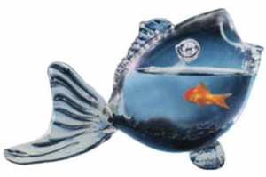Fishy Fish Bowl